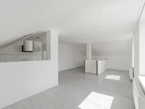 Prodej rodinného domu, Staré Město, Jamnická, 250 m2