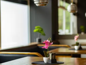 Pronájem restaurace, Pardubice, nábřeží Závodu míru, 100 m2