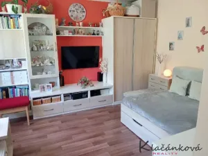 Prodej bytu 1+1, Zlín, Lazy III, 32 m2