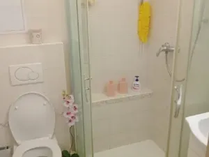Prodej bytu 1+1, Zlín, Lazy III, 32 m2