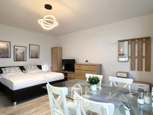 Pronájem bytu 1+kk, Sýkořice, 35 m2