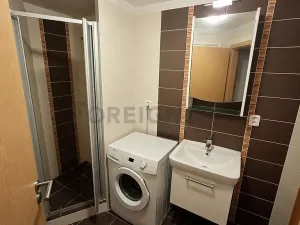 Pronájem bytu 1+kk, Brno, Kopečná, 29 m2