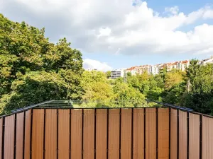 Prodej bytu 3+1, Brno, Drobného, 195 m2