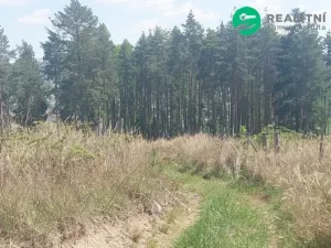 Prodej lesa, Spešov, 2317 m2