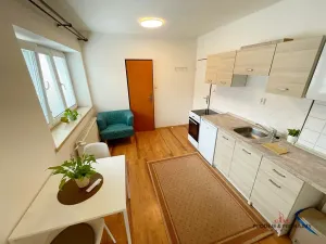 Pronájem bytu 1+1, Praha - Libeň, Za vodárnou, 30 m2