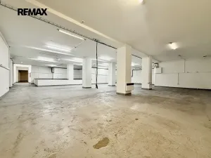 Pronájem skladu, Plzeň, Zikmunda Wintra, 520 m2