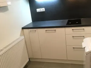 Pronájem bytu 1+kk, Brno - Sadová, Kyselkova, 30 m2