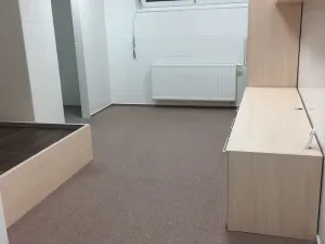 Pronájem bytu 1+kk, Brno - Sadová, Kyselkova, 30 m2
