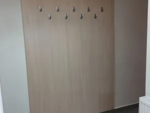 Pronájem bytu 1+kk, Brno - Sadová, Kyselkova, 30 m2