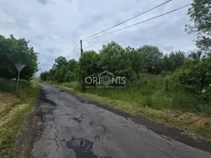 Prodej komerčního pozemku, Lubenec - Libyně, 8620 m2