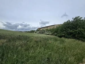 Prodej komerčního pozemku, Lubenec - Libyně, 8620 m2
