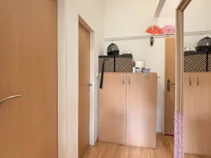 Pronájem bytu 1+kk, Olomouc, Krapkova, 28 m2