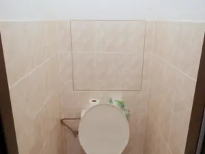 Pronájem bytu 1+kk, Milovice - Mladá, Průběžná, 40 m2