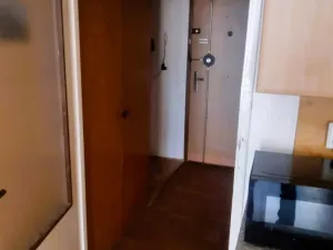Prodej bytu 1+kk, České Budějovice - České Budějovice 2, Dlouhá, 27 m2