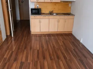 Prodej bytu 1+kk, České Budějovice - České Budějovice 2, Dlouhá, 27 m2