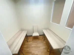 Pronájem bytu 4+1, Praha - Vinohrady, Mánesova, 111 m2