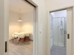 Pronájem bytu 1+kk, Olomouc, Dobrovského, 50 m2