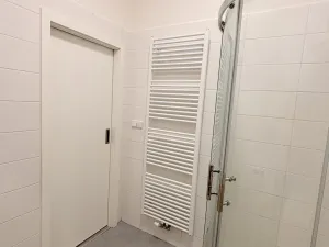 Pronájem bytu 1+kk, Olomouc, Dobrovského, 50 m2