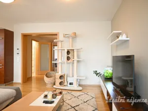Pronájem bytu 3+kk, Brno - Stránice, Bohuslava Martinů, 121 m2