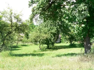 Prodej chalupy, Mladý Smolivec - Dožice, 130 m2