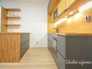 Pronájem bytu 1+kk, Brno - Zábrdovice, Přadlácká, 28 m2