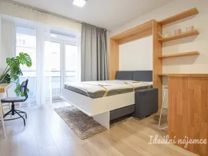Pronájem bytu 1+kk, Brno - Zábrdovice, Přadlácká, 28 m2