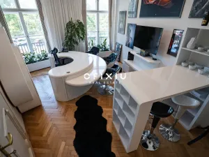 Prodej bytu 5+kk, Brno, Nerudova, 287 m2