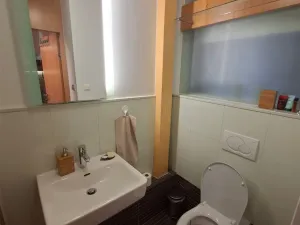 Pronájem bytu 2+kk, Praha, Šeříková, 114 m2