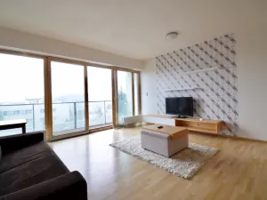 Pronájem bytu 1+kk, Brno - Stránice, Bohuslava Martinů, 50 m2