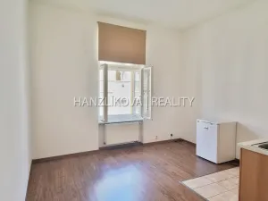 Pronájem bytu 1+kk, České Budějovice - České Budějovice 3, Riegrova, 30 m2