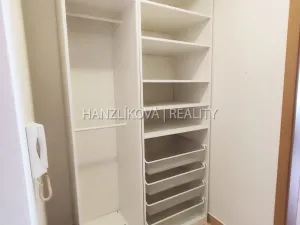 Pronájem bytu 1+kk, České Budějovice - České Budějovice 3, Riegrova, 30 m2
