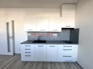 Pronájem bytu 1+kk, Hustopeče, Alejní, 30 m2