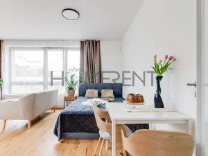 Pronájem bytu 1+kk, Praha - Nusle, Závišova, 30 m2