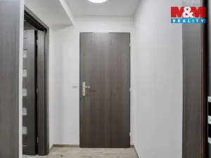 Prodej bytu 1+kk, Plzeň - Východní Předměstí, Ořechová, 26 m2
