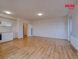 Pronájem bytu 2+kk, Heřmanova Huť - Vlkýš, U Pondu, 60 m2