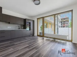 Pronájem bytu 1+kk, Plzeň - Východní Předměstí, Zahradní, 40 m2