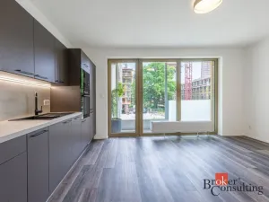 Pronájem bytu 1+kk, Plzeň - Východní Předměstí, Zahradní, 40 m2