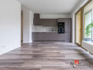 Pronájem bytu 1+kk, Plzeň - Východní Předměstí, Zahradní, 40 m2