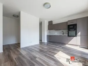 Pronájem bytu 1+kk, Plzeň - Východní Předměstí, Zahradní, 40 m2