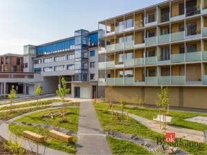 Pronájem bytu 1+kk, Plzeň - Východní Předměstí, Zahradní, 40 m2