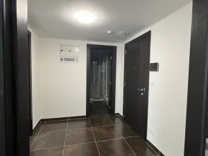 Pronájem bytu 2+kk, Olomouc - Nová Ulice, Třída Jiřího Pelikána, 56 m2