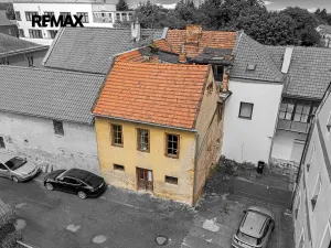 Prodej rodinného domu, Kostelec nad Černými lesy, Pražská, 250 m2