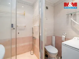 Prodej bytu 2+kk, Teplice - Trnovany, Trnovanská, 48 m2