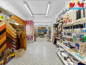 Prodej obchodního prostoru, Děčín - Děčín V-Rozbělesy, Ústecká, 741 m2