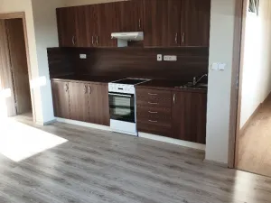 Pronájem bytu 3+kk, Brno - Husovice, Svitavská, 70 m2