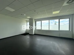 Pronájem kanceláře, Brno, Letiště Brno-Tuřany, 300 m2