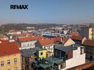 Prodej bytu 2+1, Praha - Žižkov, Seifertova, 56 m2