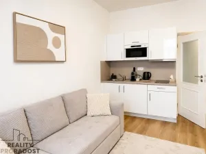 Prodej bytu 1+kk, Praha - Nové Město, Petrská, 29 m2