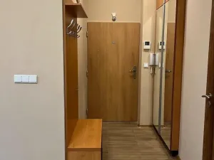 Pronájem bytu 1+kk, Praha - Strašnice, Na stezce, 30 m2
