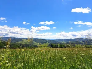 Prodej rodinného domu, Valašská Senice, 90 m2